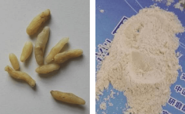 麥冬PROUMB官网下载前後