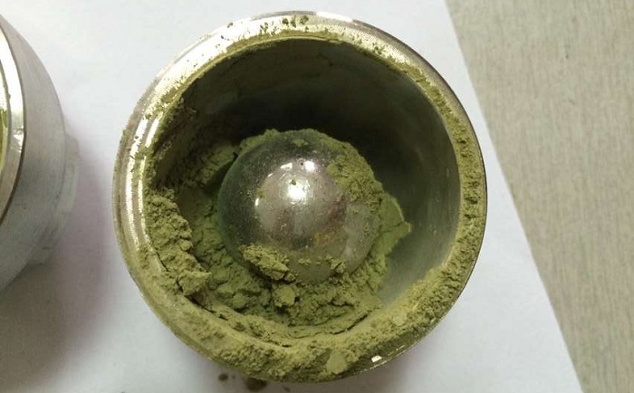 棉花葉組織PROUMB官网下载